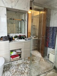 Four Seasons Park (D10), Condominium #350131731